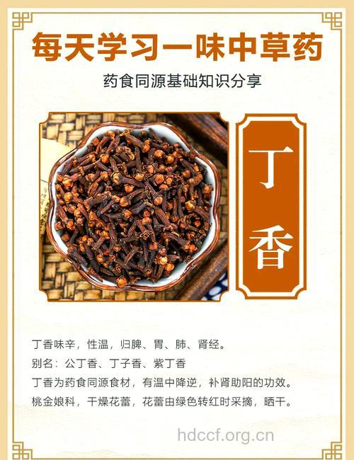 丁香茶的做法【图】