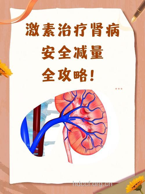 激素治疗肾病须适量