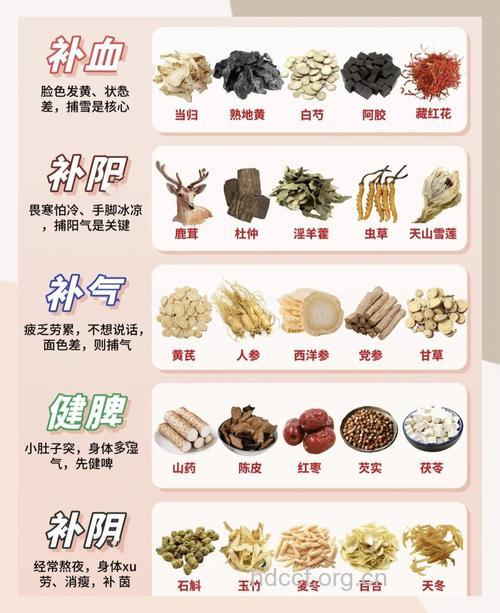 5种常见中药有养生的功效