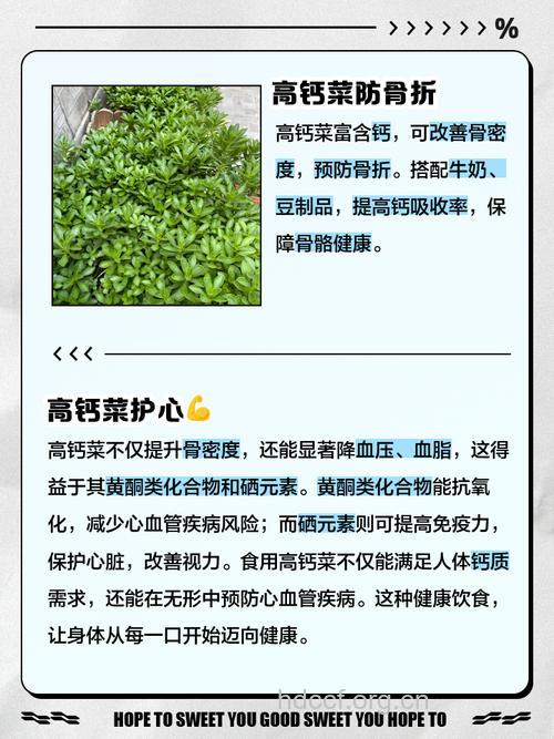 什么是高钙菜 高钙菜的功效与作用