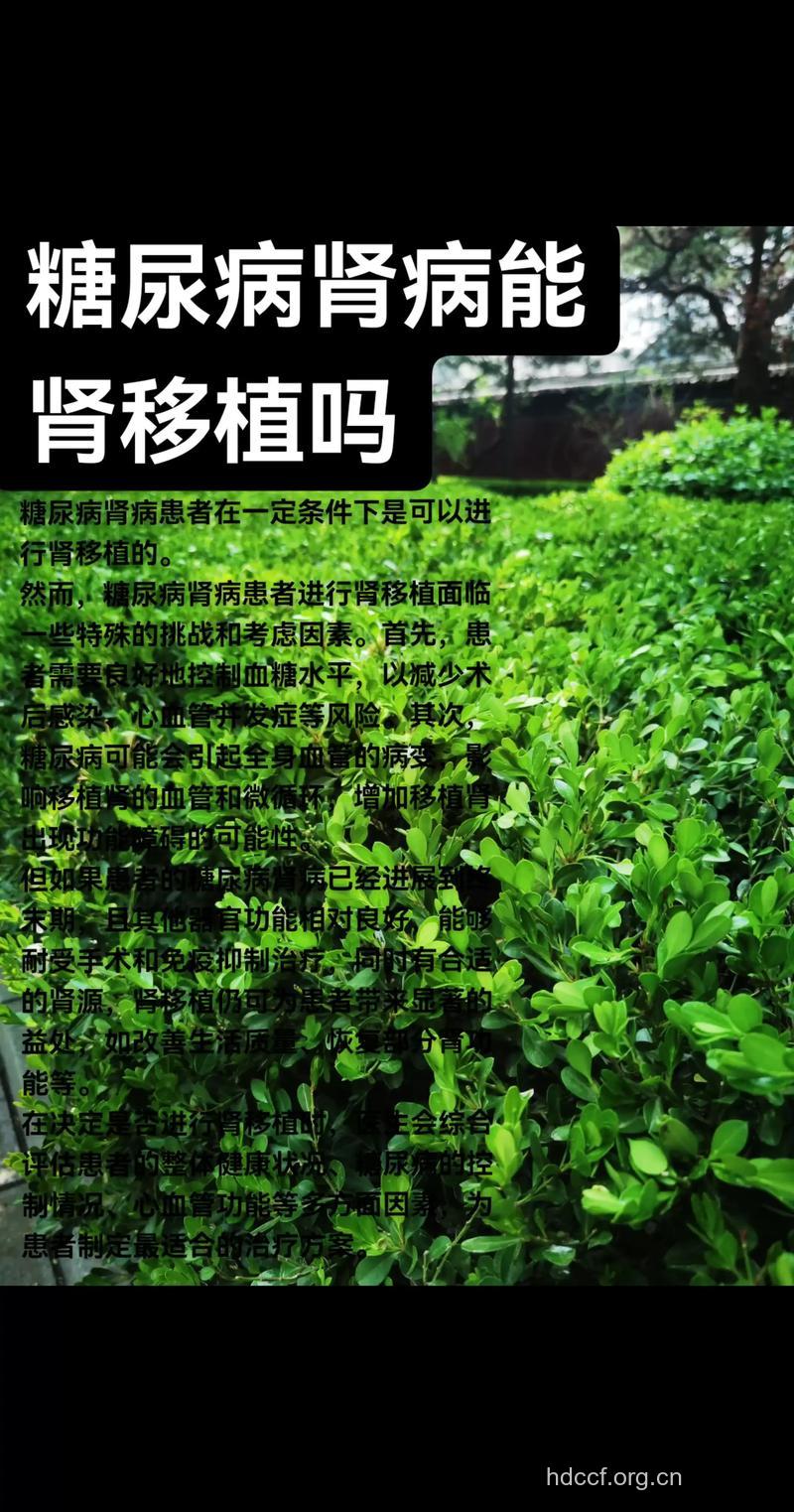 糖尿病肾病与肾移植