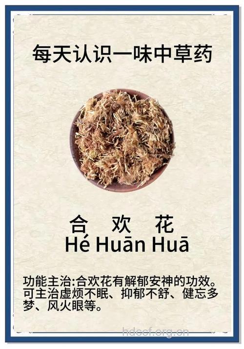 万万没想到 这些花草竟然都是中药