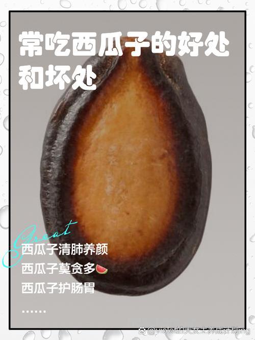 孕妇可以吃西瓜子吗?
