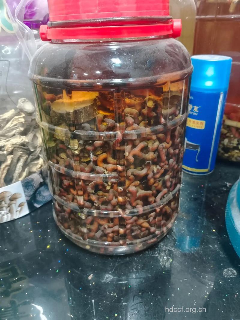 鸡爪梨解酒是真的吗 鸡爪梨如何解酒