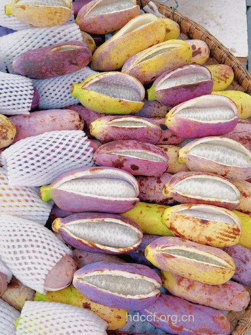 八月瓜壳的药用价值