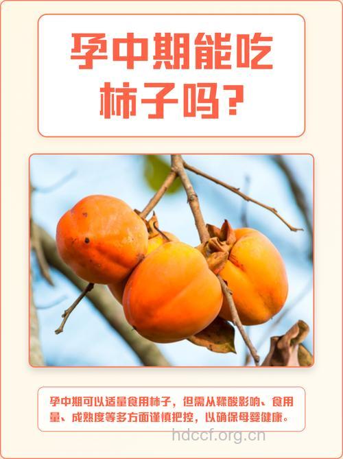 孕妇可以吃柿子吗?