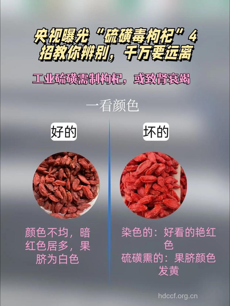 枸杞能造假 四招教你辨别枸杞的真假