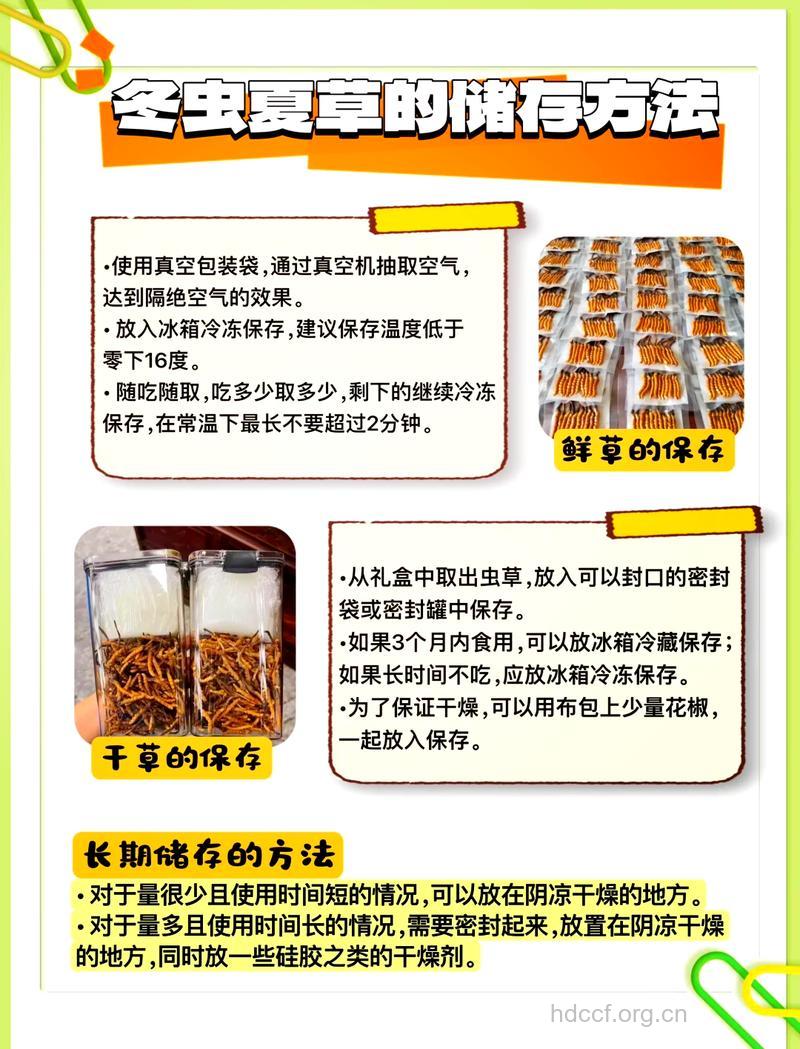 冬虫夏草怎样贮藏才能不失效 名贵中药该如何储藏