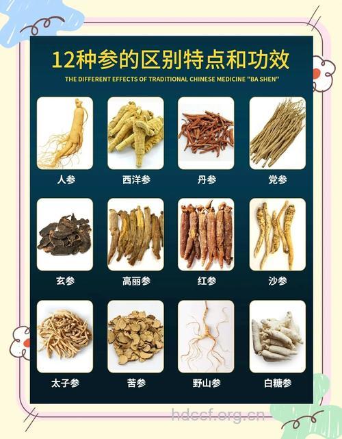 老中医教你区分功效大不同的八种参
