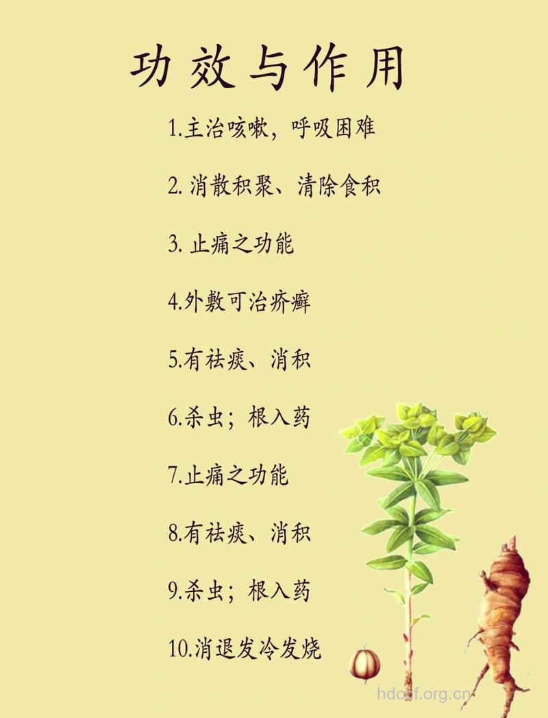 狼毒的功效与作用
