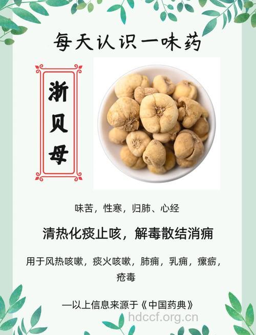 浙贝母的功效与作用