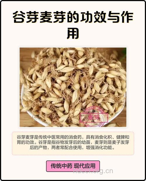 谷芽的功效与作用
