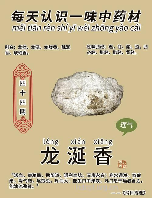 龙涎香的功效与作用