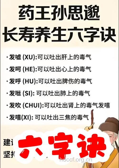 95岁老中医的养生秘诀