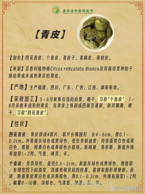 青皮的功效与作用
