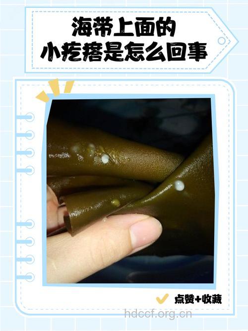长了青春痘少吃海带