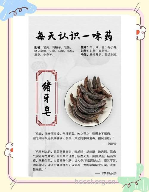 猪牙皂的功效与作用