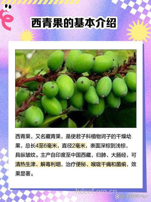 西青果的功效与作用