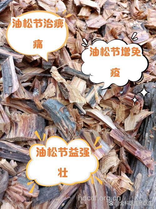 油松节的功效与作用