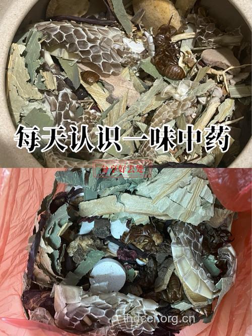 盐蛇干的功效与作用
