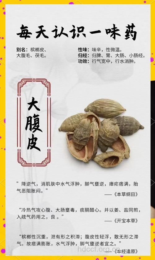 大腹皮的功效与作用