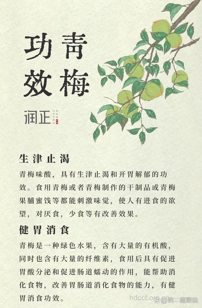 孕妇可以吃青梅吗?