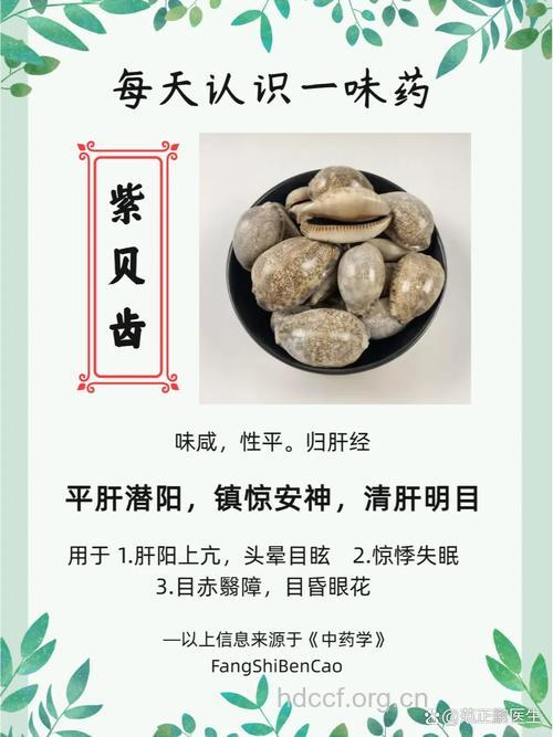 紫贝齿的功效与作用