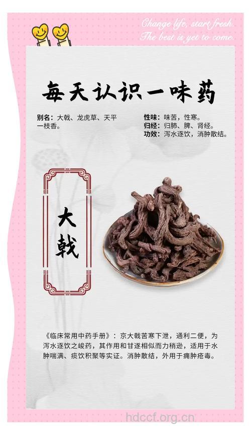 大戟的功效与作用