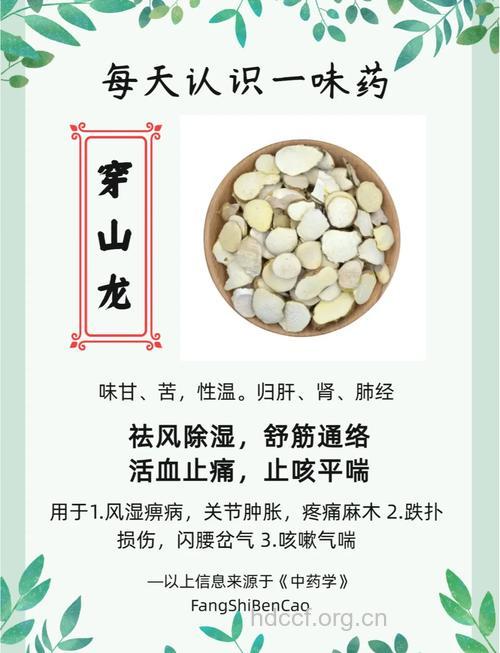 穿山龙的功效与作用
