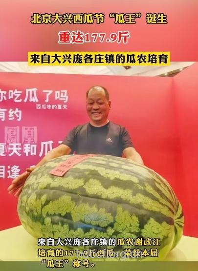 三个西瓜=一粒伟哥吗?