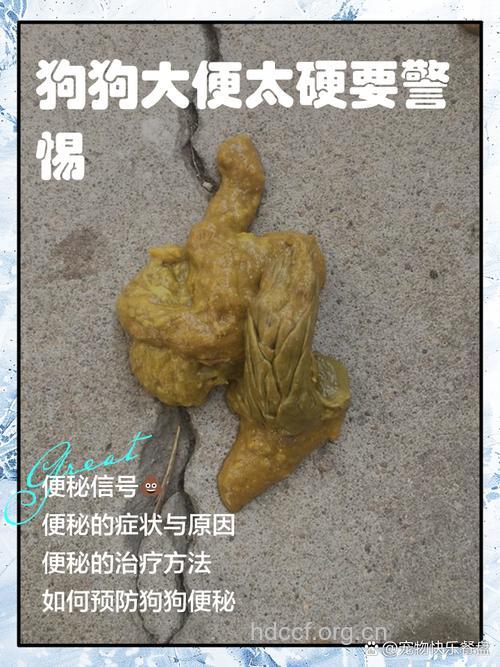 硬排便后果严重