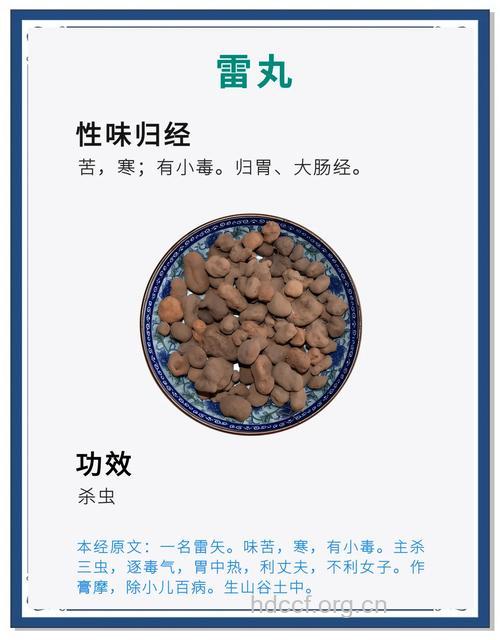 雷丸的功效与作用