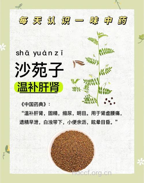 沙苑子的功效与作用