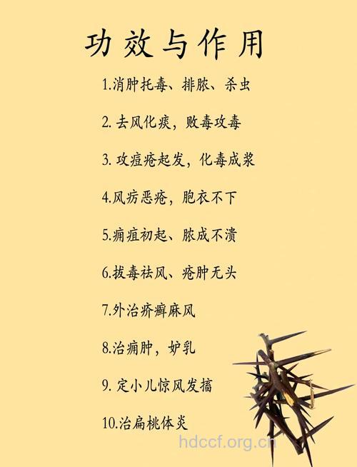 皂角刺的功效与作用