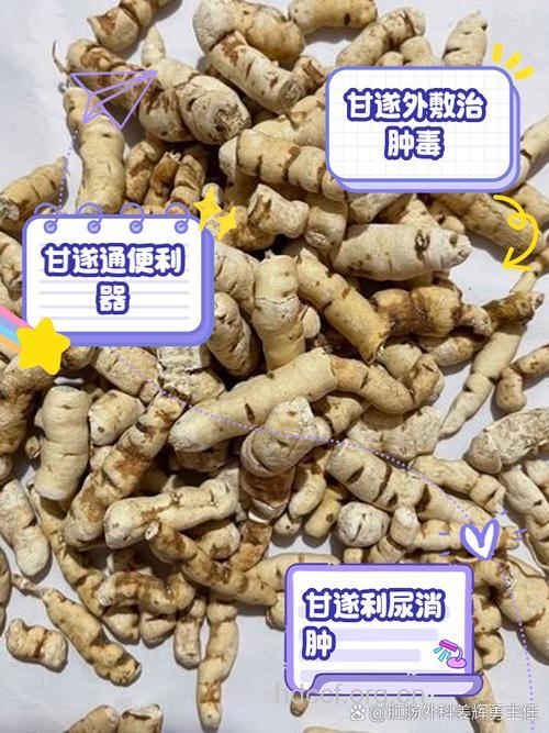 甘遂的功效与作用
