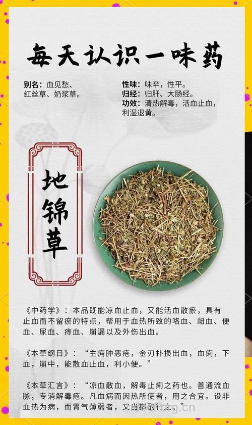 地锦草的功效与作用