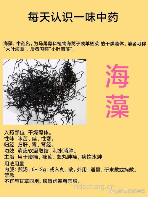 海藻的功效与作用