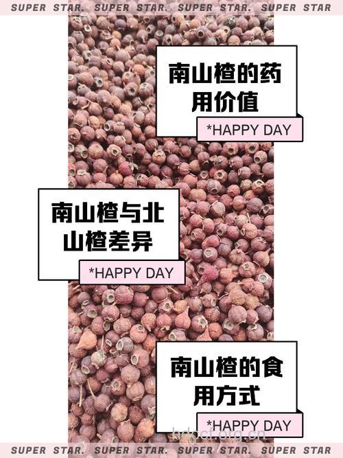 南山楂的功效与作用