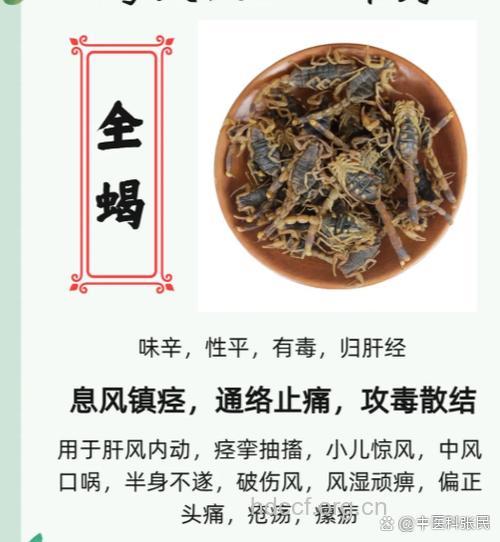 全蝎的功效与作用