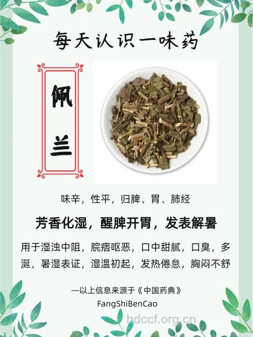 佩兰的功效与作用