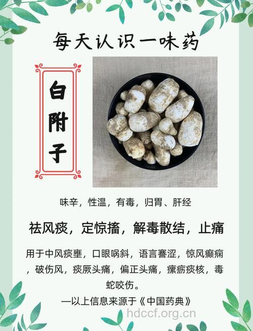 白附子的功效与作用