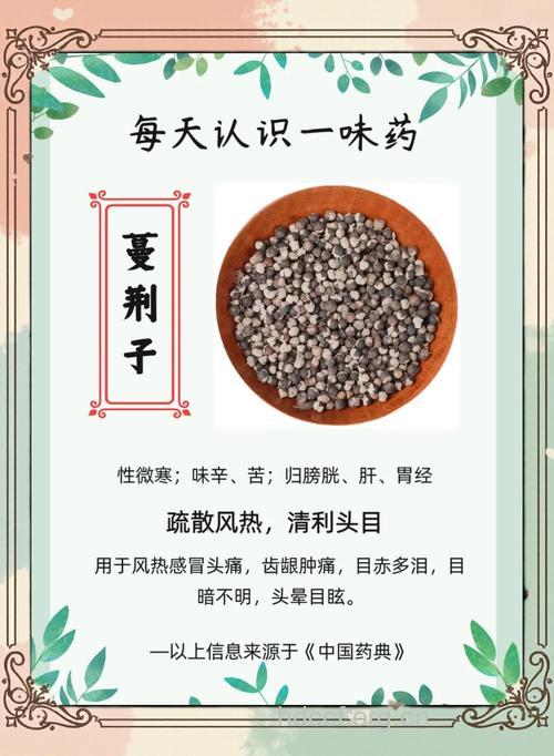 蔓荆子的功效与作用