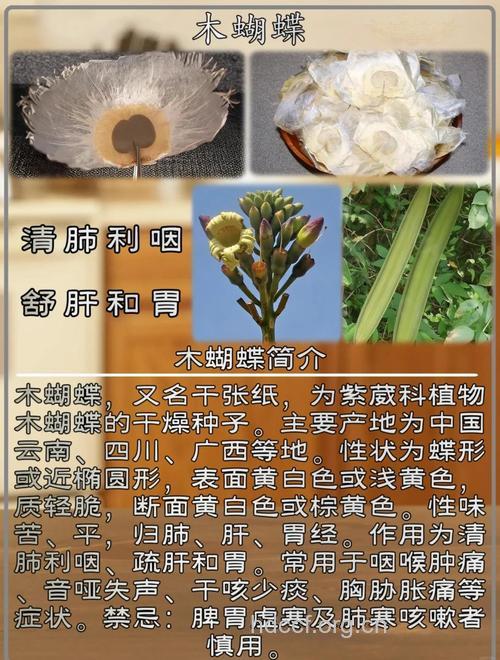木蝴蝶的功效与作用