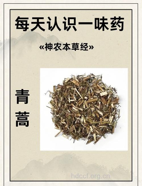 青蒿的功效与作用