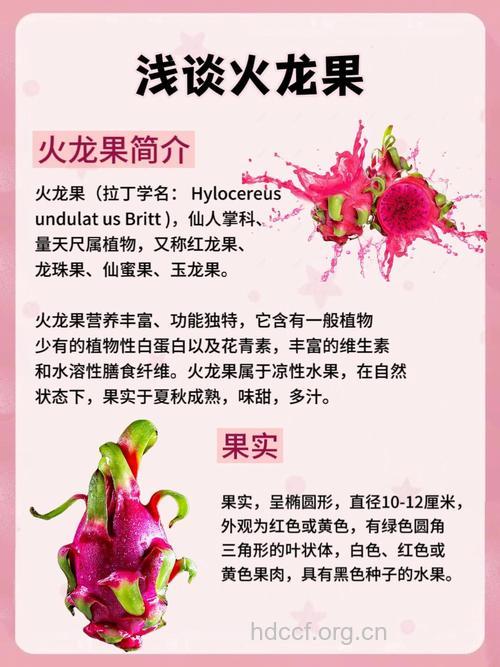 夏季吃火龙果有什么好处？