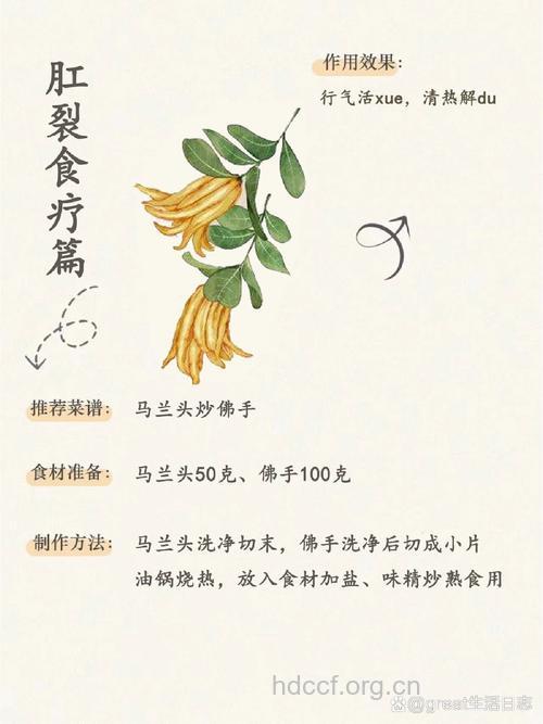 肛裂饮食保健调理