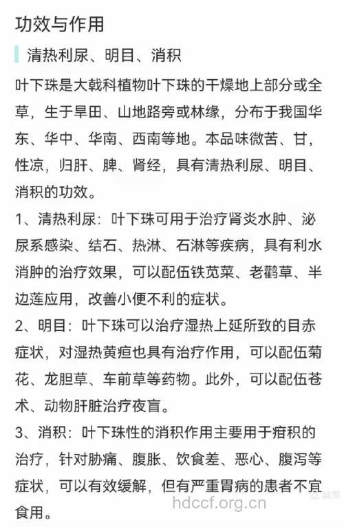 叶下珠的功效与作用