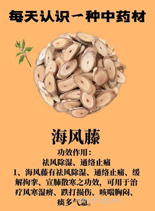 海风藤的功效与作用
