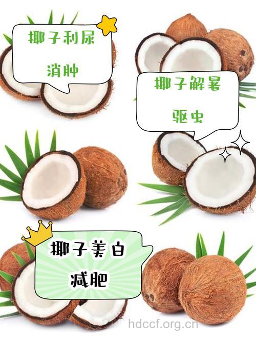 揭秘 远离空调病多吃椰子