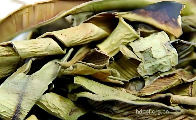 水河剑的功效与作用